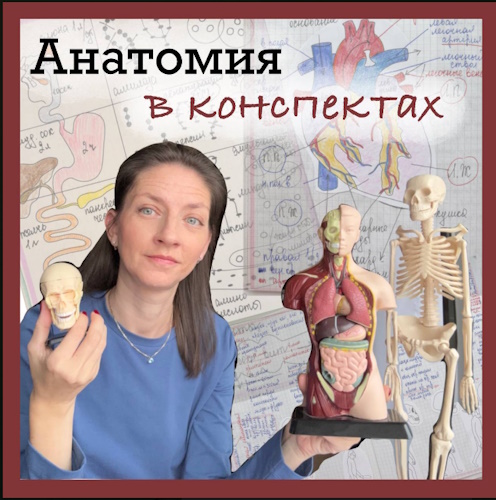 [Алина Чабуткина] Анатомия в конспектах. 8-9 класс_0.jpg